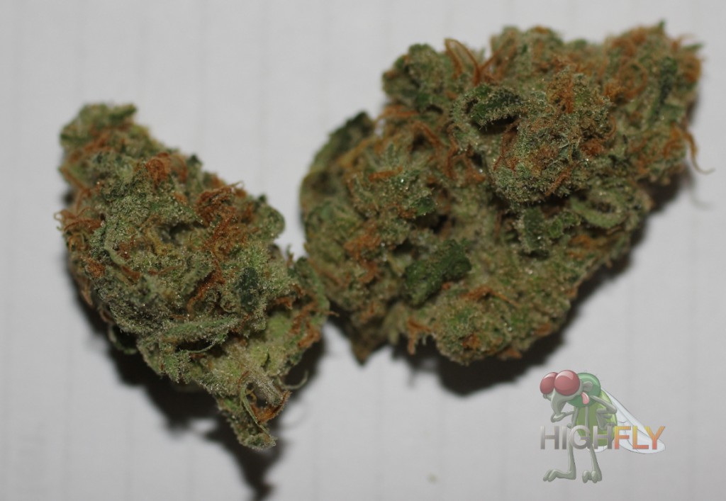 Marihuana Amnesia Haze Blueten