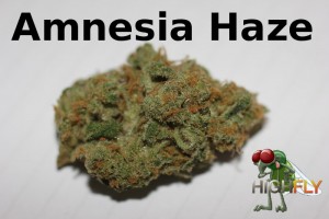 Amnesia Haze Blüte