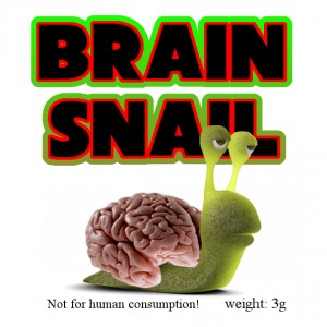Brainsnail Raeuchermischung
