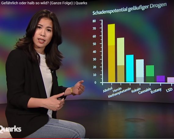 Drogen Gefahrenpotential Quarks Statistik