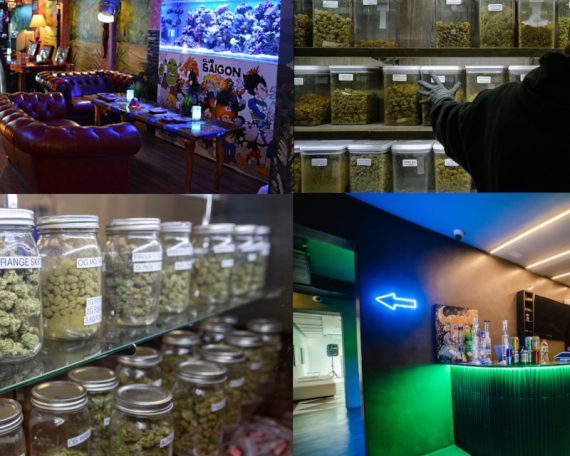 Hanf Social Clubs Cannabis